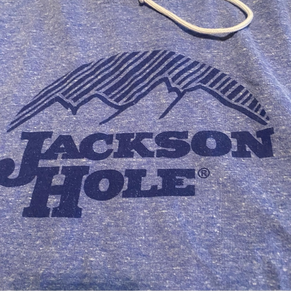 Jackson Hole Wyoming Cropped Hoodie Sweatshirt Womens Small - Medium Blue Top